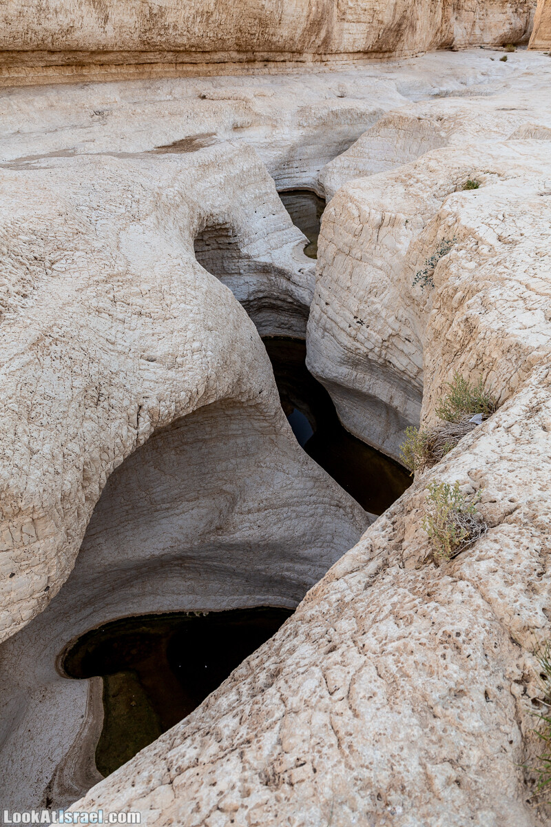 К Мертвому морю и обратно через пустыню и Маале Яир | LookAtIsrael.com - Фото путешествия по Израилю