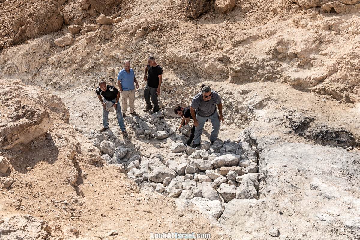 К Мертвому морю и обратно через пустыню и Маале Яир | LookAtIsrael.com - Фото путешествия по Израилю