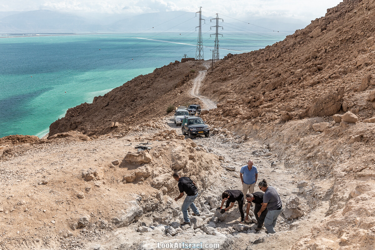 К Мертвому морю и обратно через пустыню и Маале Яир | LookAtIsrael.com - Фото путешествия по Израилю