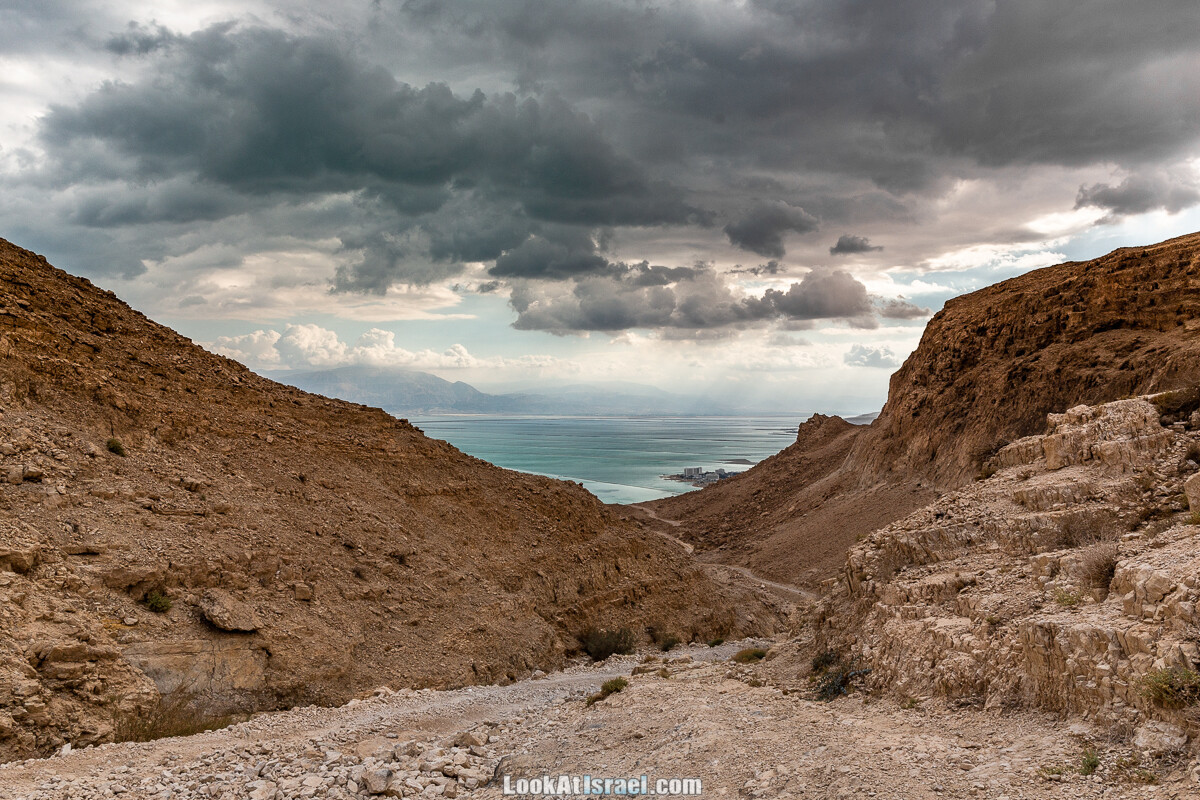 К Мертвому морю и обратно через пустыню и Маале Яир | LookAtIsrael.com - Фото путешествия по Израилю