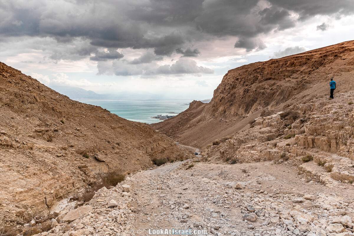 К Мертвому морю и обратно через пустыню и Маале Яир | LookAtIsrael.com - Фото путешествия по Израилю