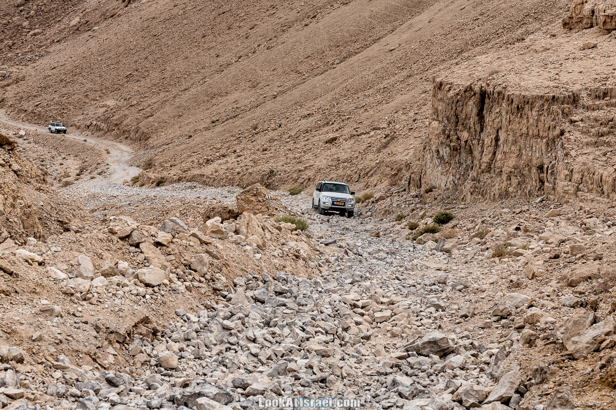 К Мертвому морю и обратно через пустыню и Маале Яир | LookAtIsrael.com - Фото путешествия по Израилю