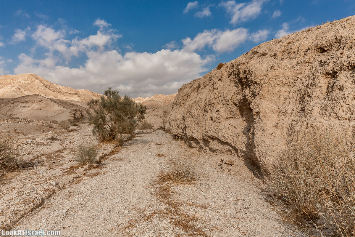 Поход по ущельям Тор и Самар, карболет, Мацок а-Этеким | נחל טור וסמר, כתף טור, מצוק העתקים | LookAtIsrael.com - Фото путешествия по Израилю