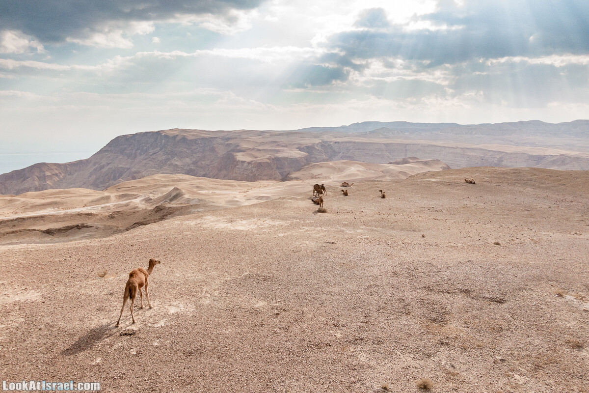 Поход по ущельям Тор и Самар, карболет, Мацок а-Этеким | נחל טור וסמר, כתף טור, מצוק העתקים | LookAtIsrael.com - Фото путешествия по Израилю