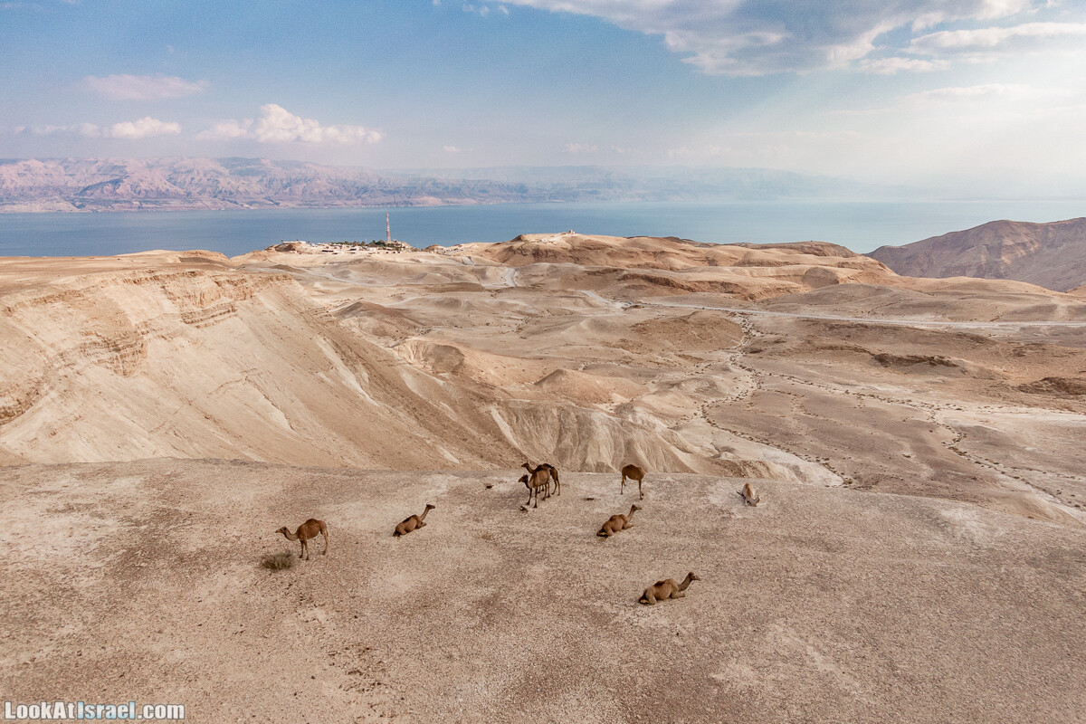 Поход по ущельям Тор и Самар, карболет, Мацок а-Этеким | נחל טור וסמר, כתף טור, מצוק העתקים | LookAtIsrael.com - Фото путешествия по Израилю