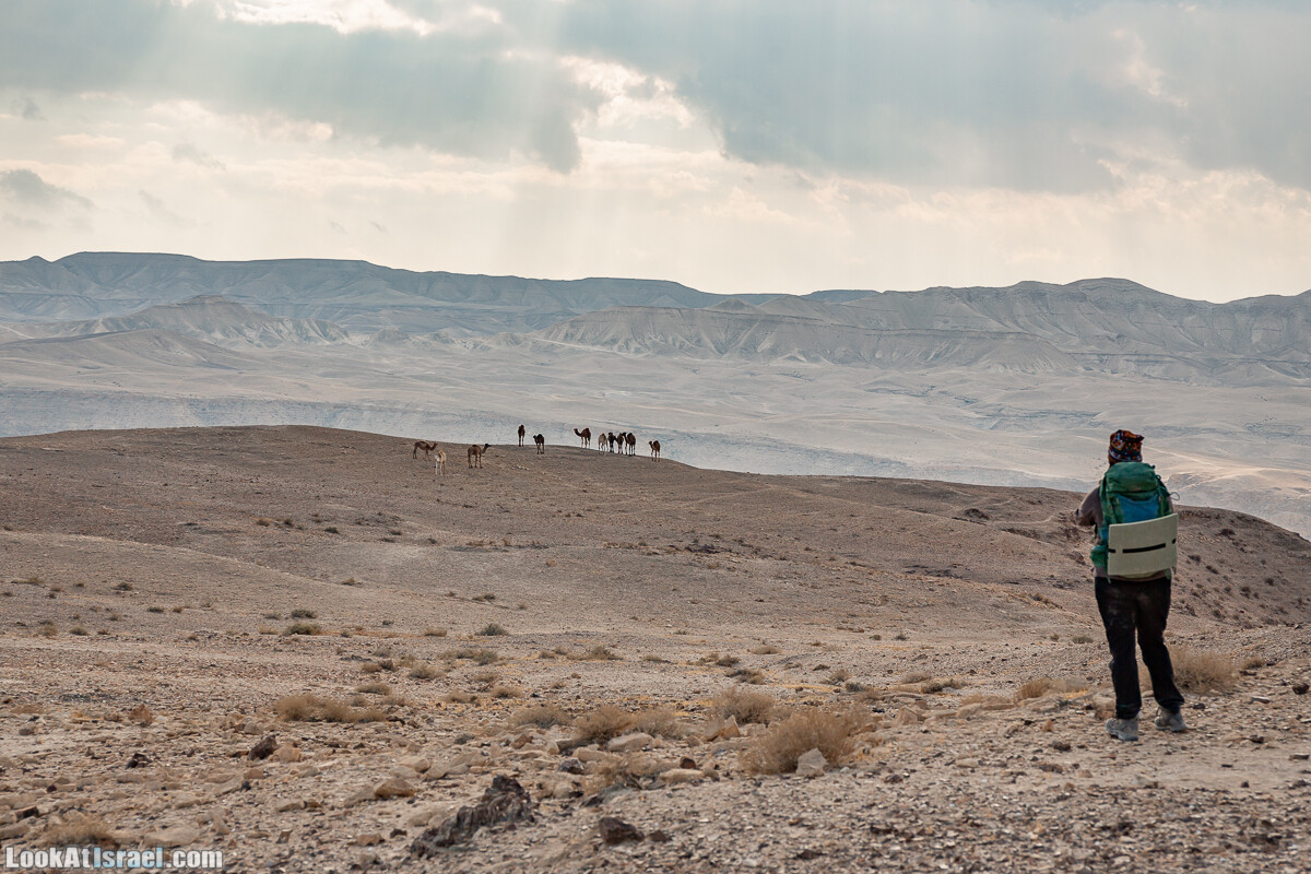 Поход по ущельям Тор и Самар, карболет, Мацок а-Этеким | נחל טור וסמר, כתף טור, מצוק העתקים | LookAtIsrael.com - Фото путешествия по Израилю
