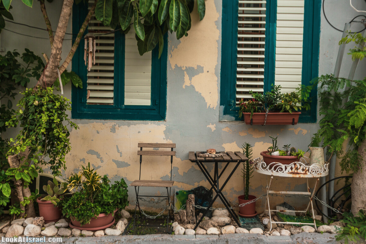 Случайные фотографии из жизни не туристического Яффо 34