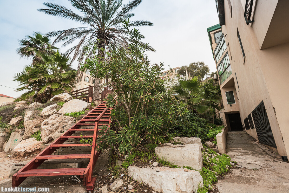 Крошки Тель-Авива - случайные фотографии из жизни Тель-Авива и Яффо, который ты не видел | LookAtIsrael.com - Фото путешествия по Израилю