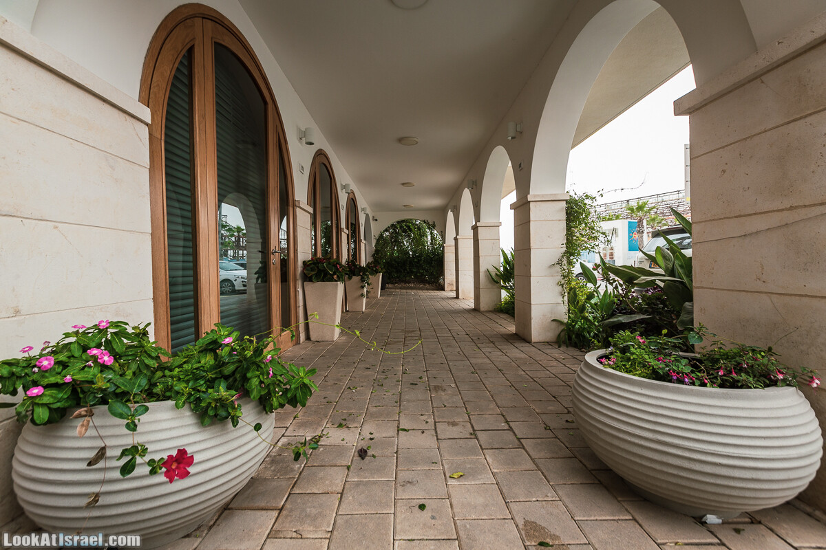 Крошки Тель-Авива - случайные фотографии из жизни Тель-Авива и Яффо, который ты не видел | LookAtIsrael.com - Фото путешествия по Израилю