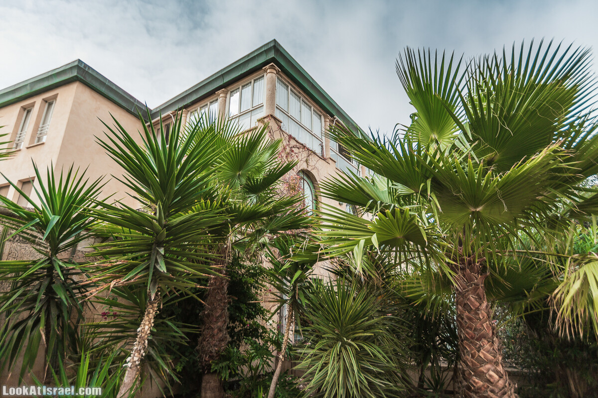 Крошки Тель-Авива - случайные фотографии из жизни Тель-Авива и Яффо, который ты не видел | LookAtIsrael.com - Фото путешествия по Израилю