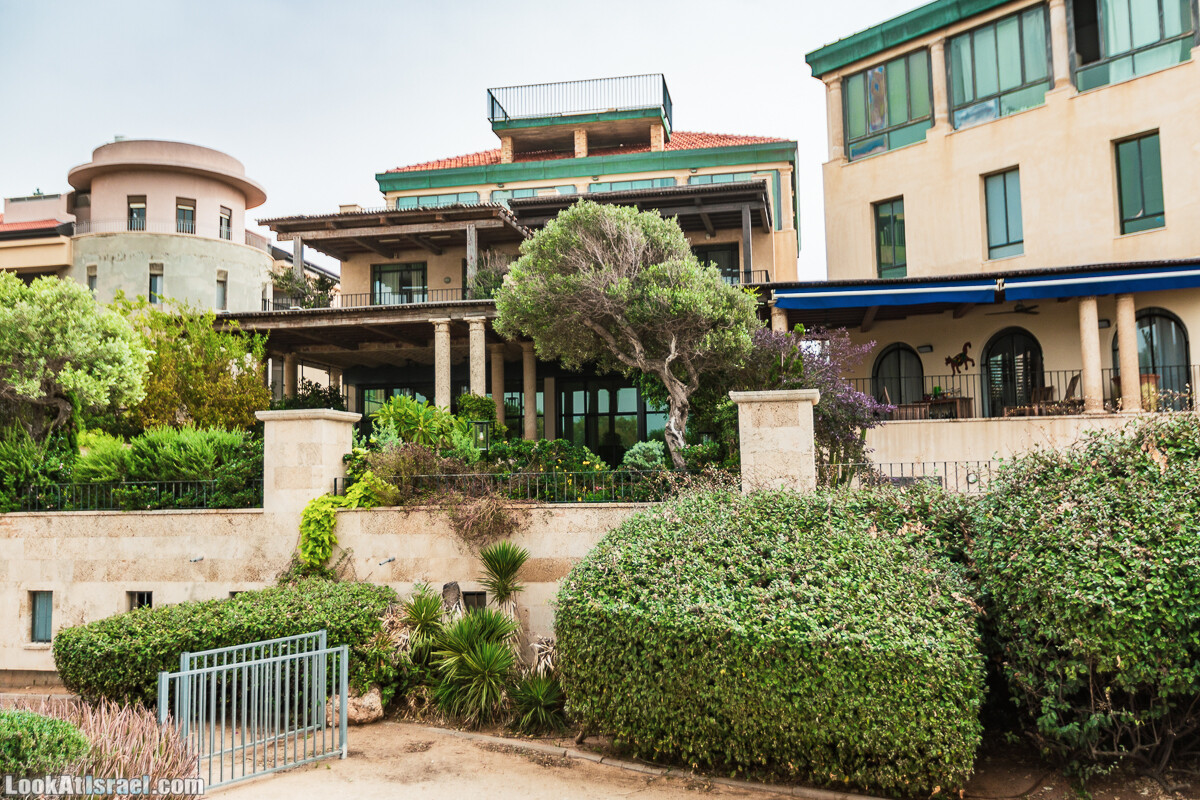 Крошки Тель-Авива - случайные фотографии из жизни Тель-Авива и Яффо, который ты не видел | LookAtIsrael.com - Фото путешествия по Израилю