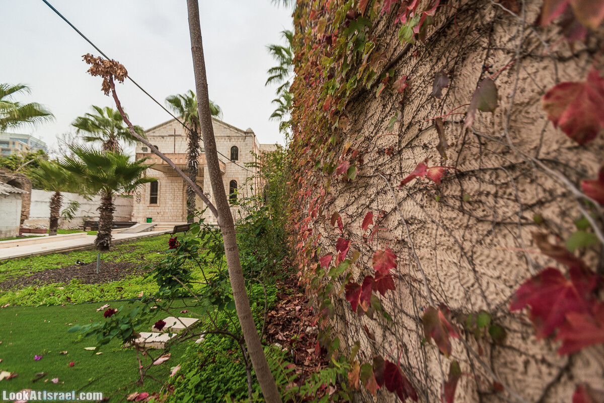 Крошки Тель-Авива - случайные фотографии из жизни Тель-Авива и Яффо, который ты не видел | LookAtIsrael.com - Фото путешествия по Израилю