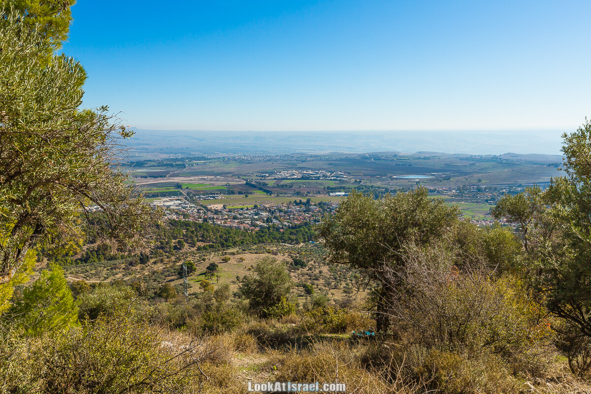 Лес Бирия | LookAtIsrael.com - Фото путешествия по Израилю