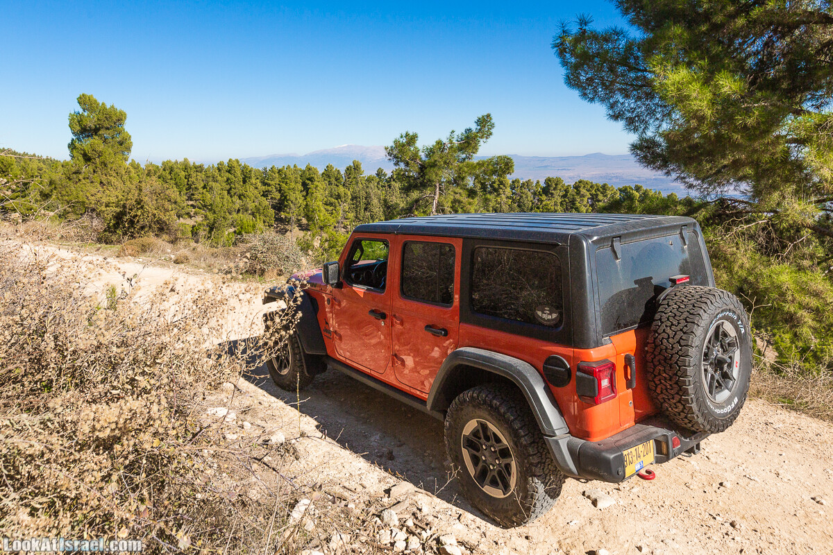 Лес Бирия | LookAtIsrael.com - Фото путешествия по Израилю