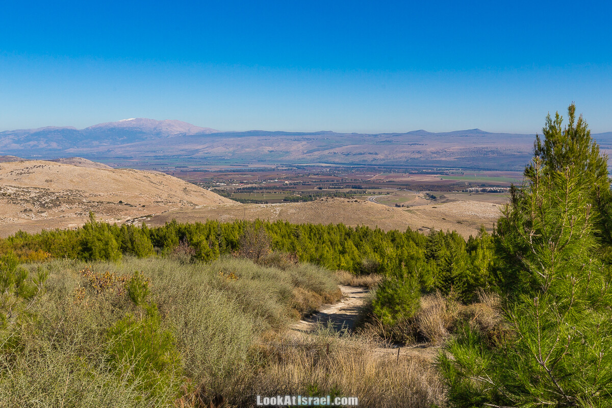 Лес Бирия | LookAtIsrael.com - Фото путешествия по Израилю
