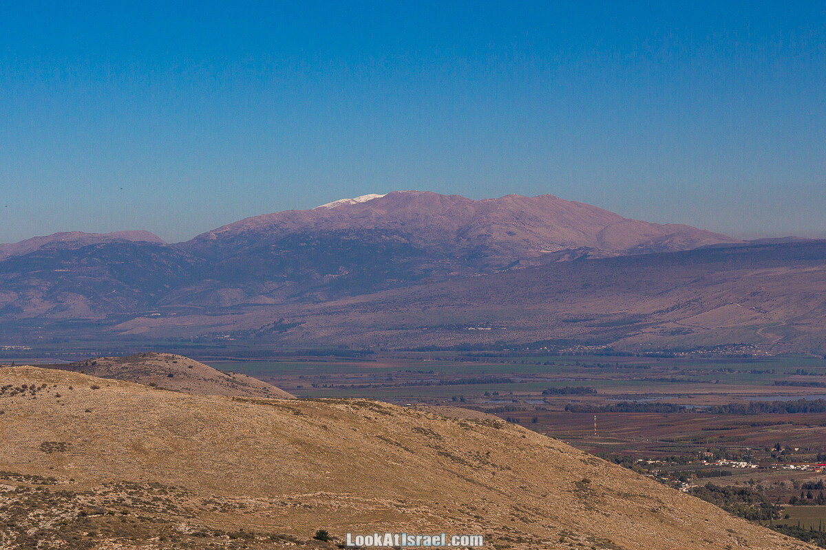Лес Бирия | LookAtIsrael.com - Фото путешествия по Израилю