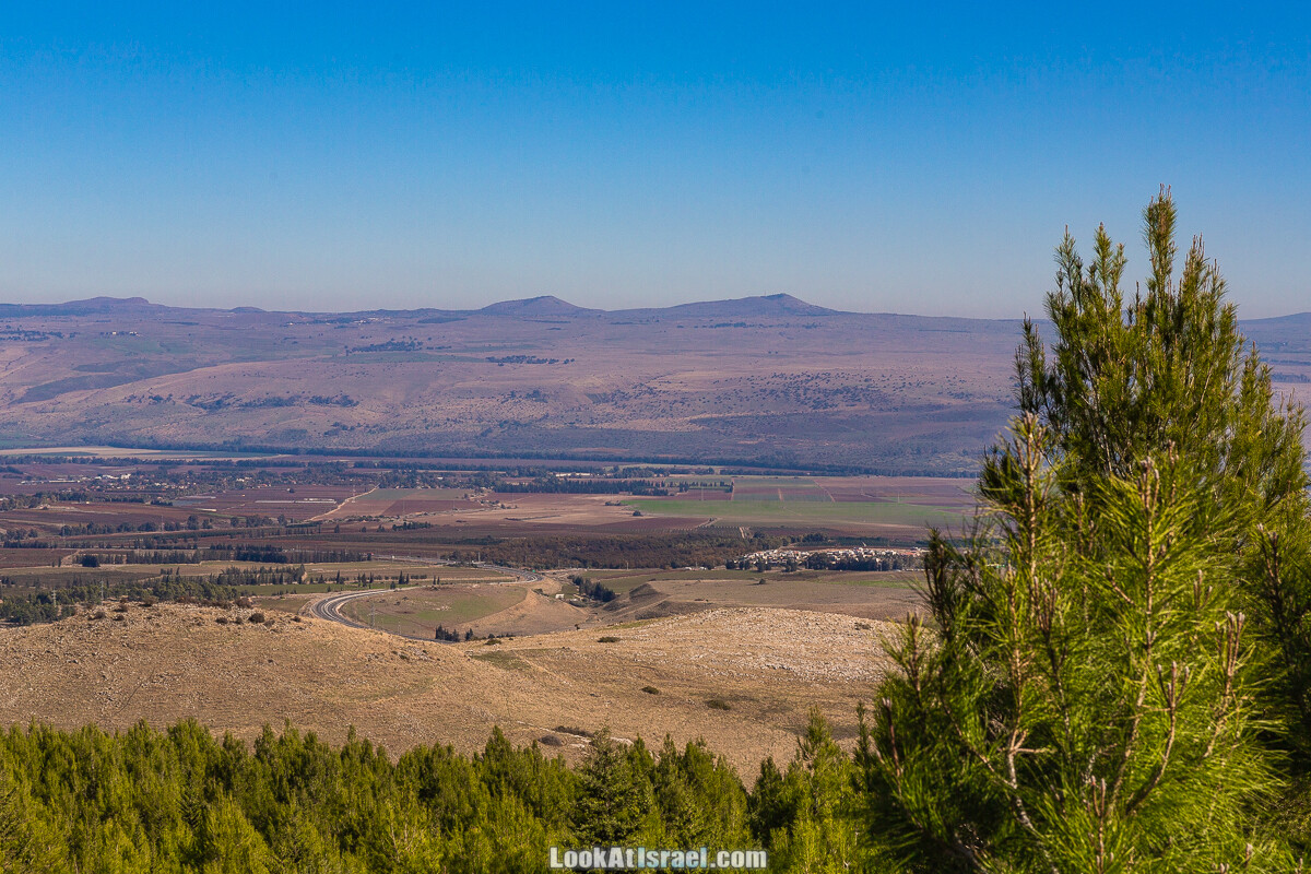 Лес Бирия | LookAtIsrael.com - Фото путешествия по Израилю