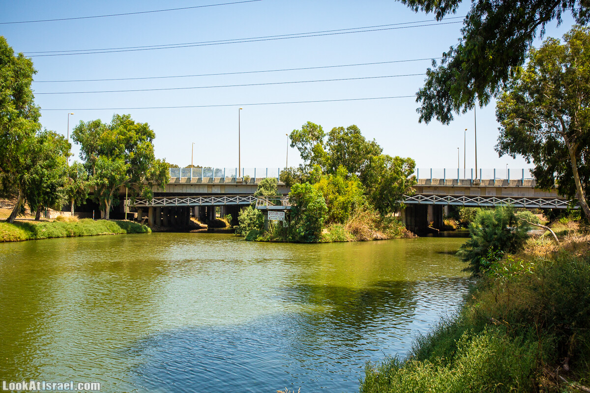 Граффити Тель-Авива под мостом | LookAtIsrael.com - Фото путешествия по Израилю