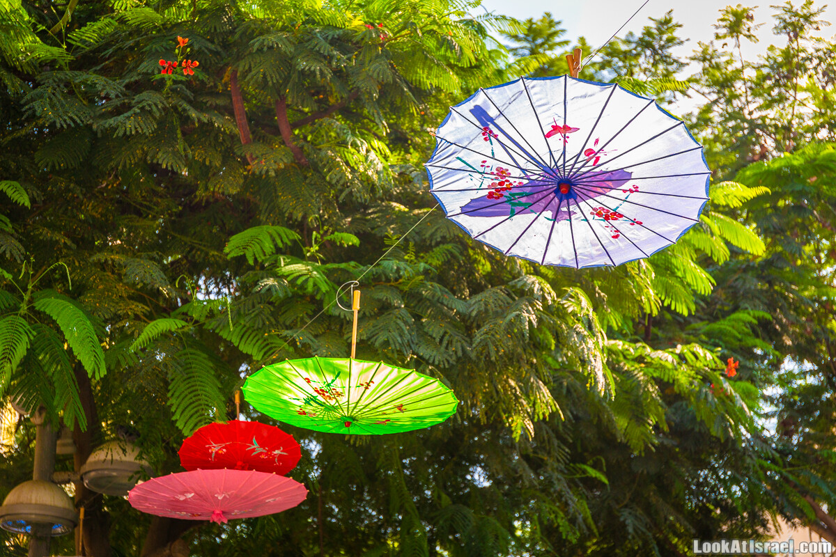 Случайные фотографии из жизни Тель-Авива | LookAtIsrael.com - Фото путешествия по Израилю