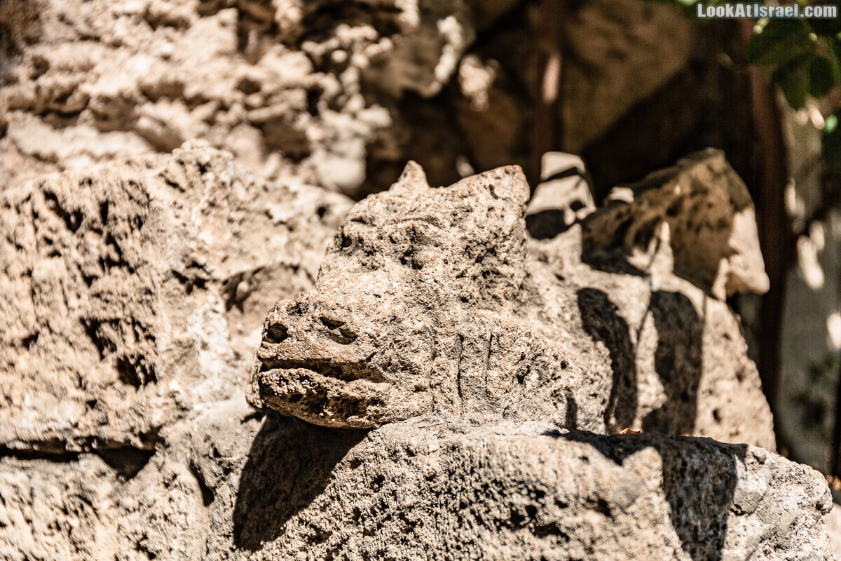 На улочках Яффо живёт дракон | LookAtIsrael.com - Фото путешествия по Израилю