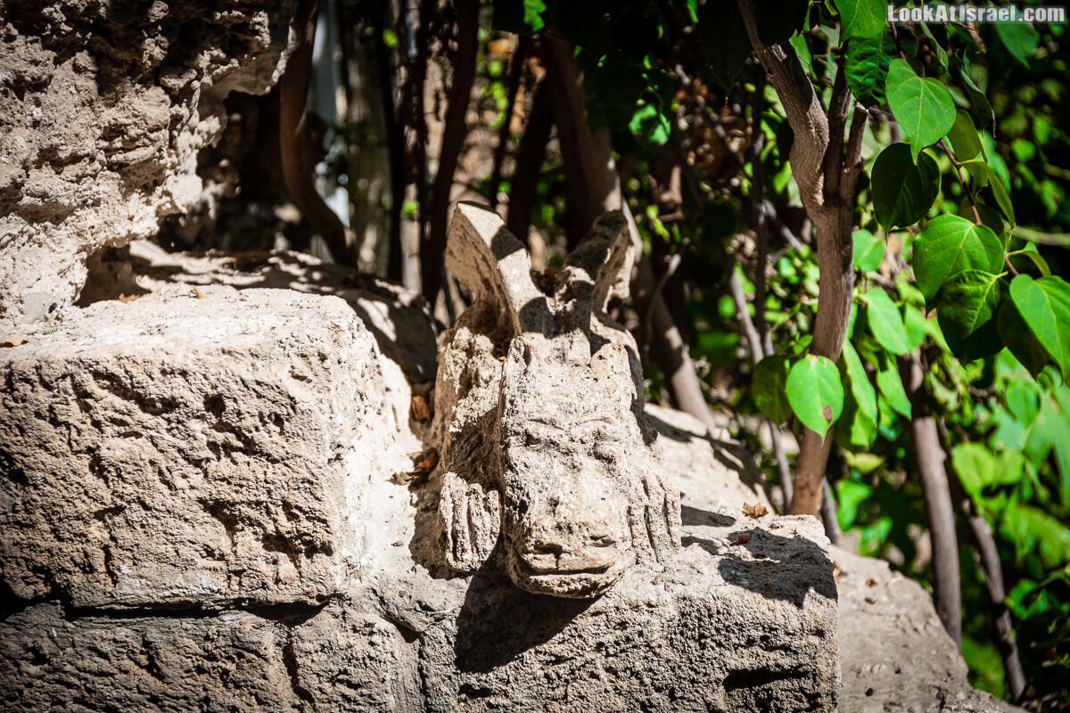 На улочках Яффо живёт дракон | LookAtIsrael.com - Фото путешествия по Израилю