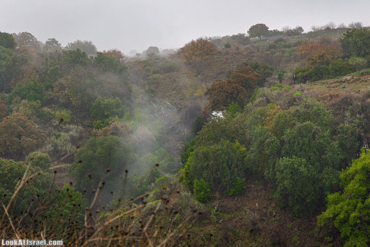 Голанские высоты - водопад Фара, гора Хермонит, Тель а-Саки | Fara waterfall, Hermonit mt, Tel a-Saqi | LookAtIsrael.com - Фото путешествия по Израилю