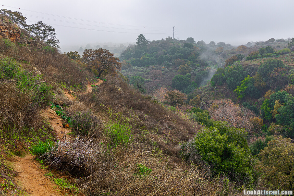 Голанские высоты - водопад Фара, гора Хермонит, Тель а-Саки | Fara waterfall, Hermonit mt, Tel a-Saqi | LookAtIsrael.com - Фото путешествия по Израилю