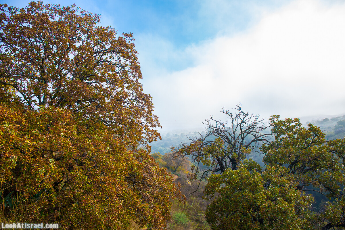 Голанские высоты - водопад Фара, гора Хермонит, Тель а-Саки | Fara waterfall, Hermonit mt, Tel a-Saqi | LookAtIsrael.com - Фото путешествия по Израилю