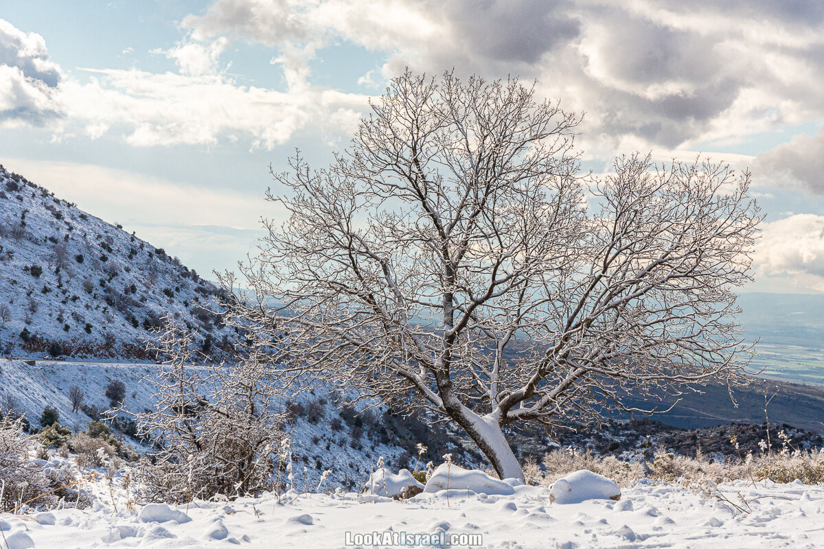 За снегом в горы