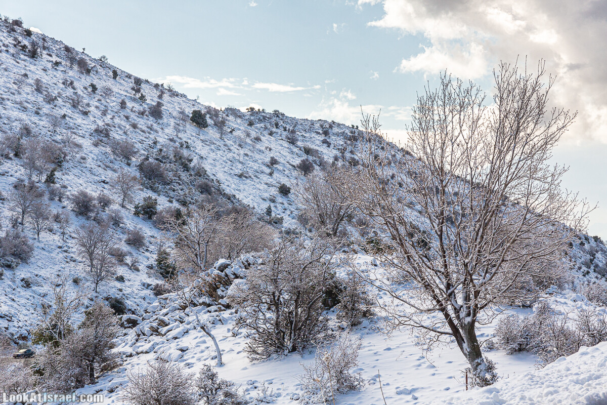 Снег на горе Хермон, Израиль | LookAtIsrael.com - Фото путешествия по Израилю