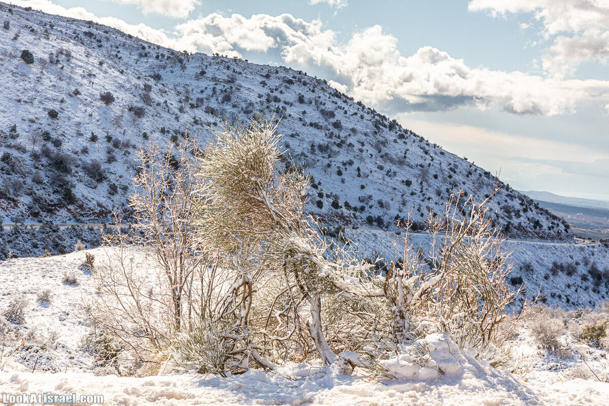 Снег на горе Хермон, Израиль | LookAtIsrael.com - Фото путешествия по Израилю