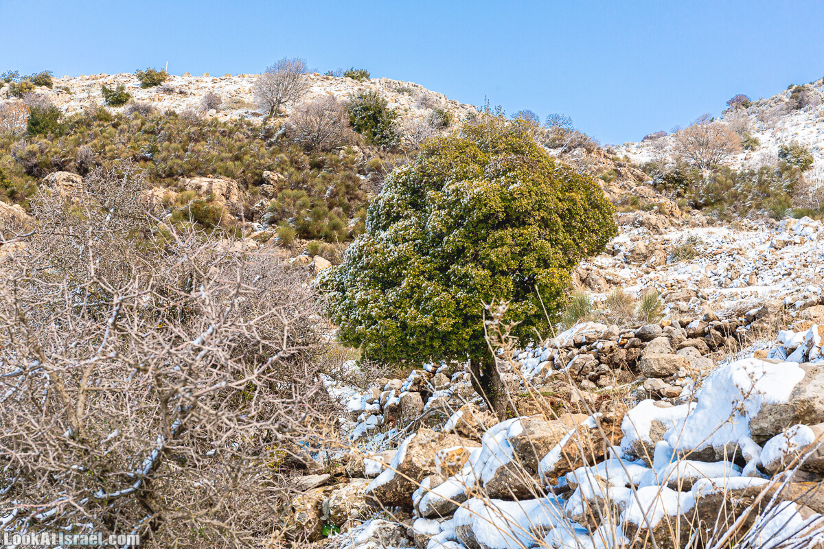 Снег на горе Хермон, Израиль | LookAtIsrael.com - Фото путешествия по Израилю