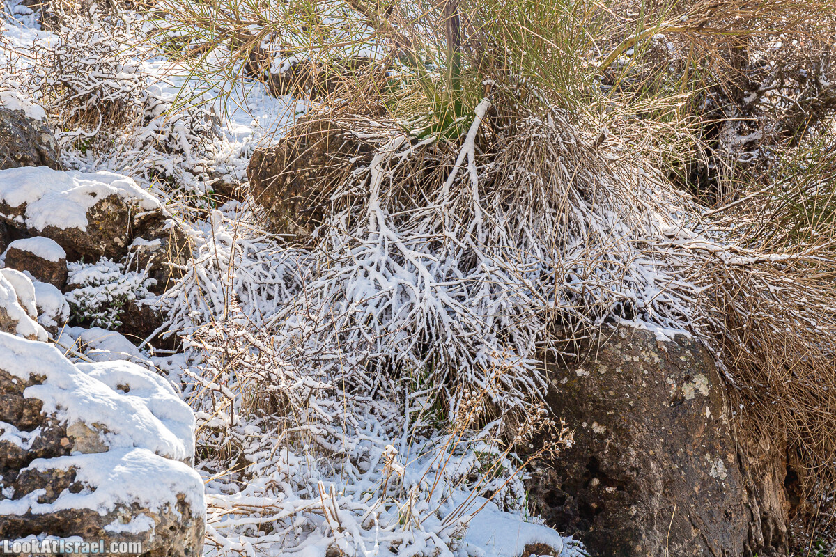 Снег на горе Хермон, Израиль | LookAtIsrael.com - Фото путешествия по Израилю