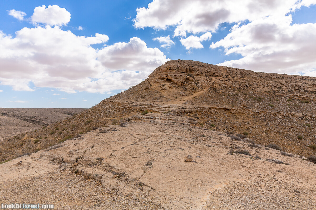 Зимнее цветение нарциссов в пустыне Негев (Нахаль Хацац) | Narcissuses of Negev desert | LookAtIsrael.com - Фото путешествия по Израилю