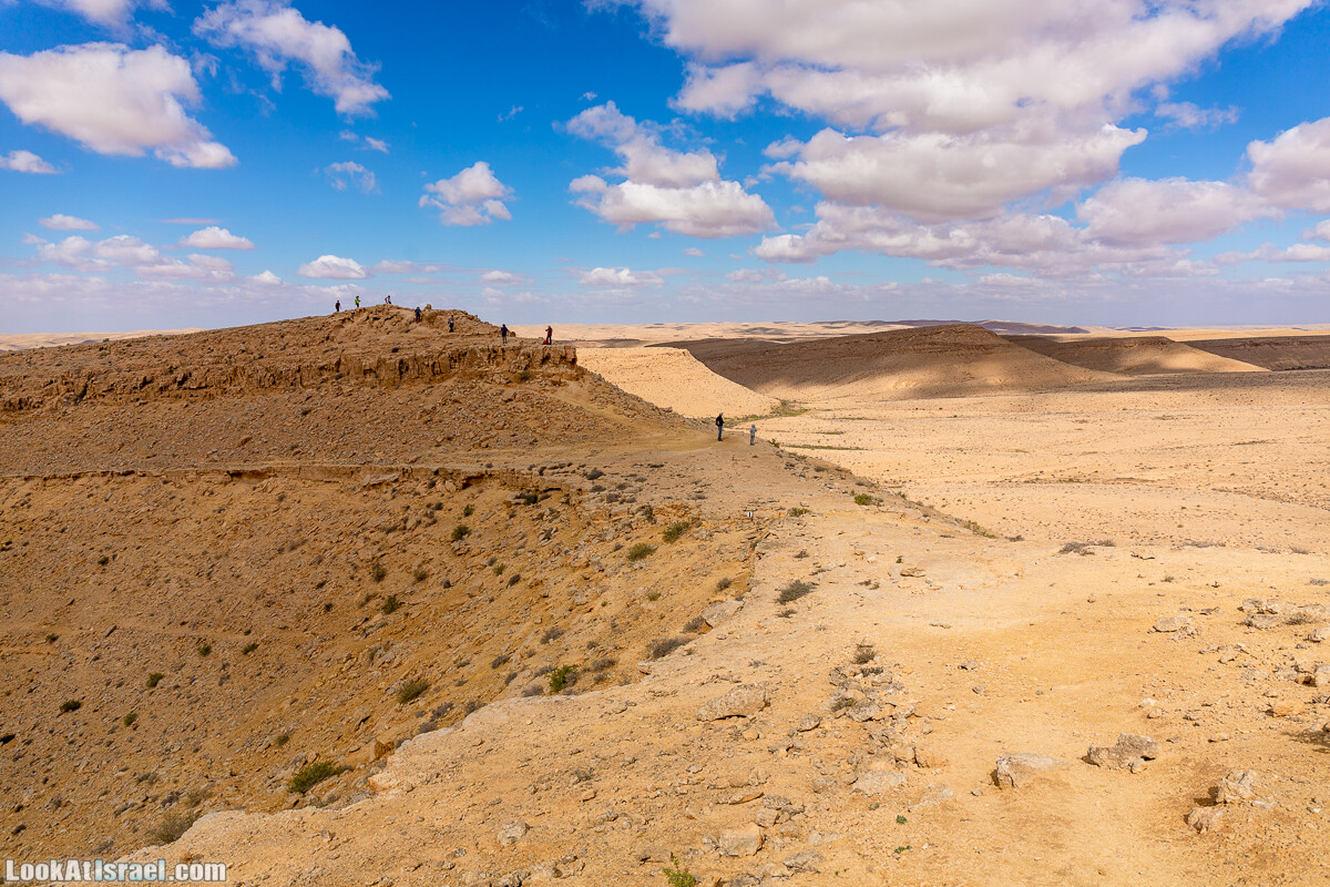 Зимнее цветение нарциссов в пустыне Негев (Нахаль Хацац) | Narcissuses of Negev desert | LookAtIsrael.com - Фото путешествия по Израилю