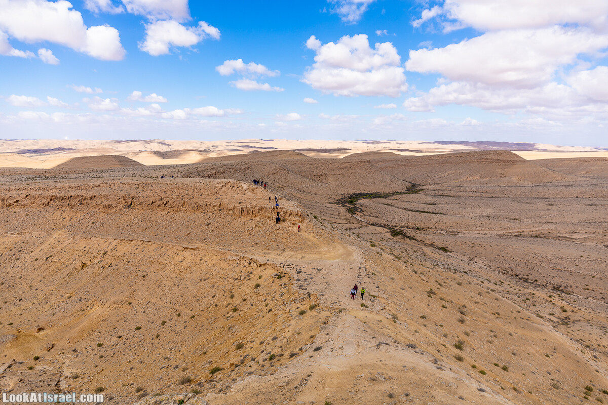 Зимнее цветение нарциссов в пустыне Негев (Нахаль Хацац) | Narcissuses of Negev desert | LookAtIsrael.com - Фото путешествия по Израилю