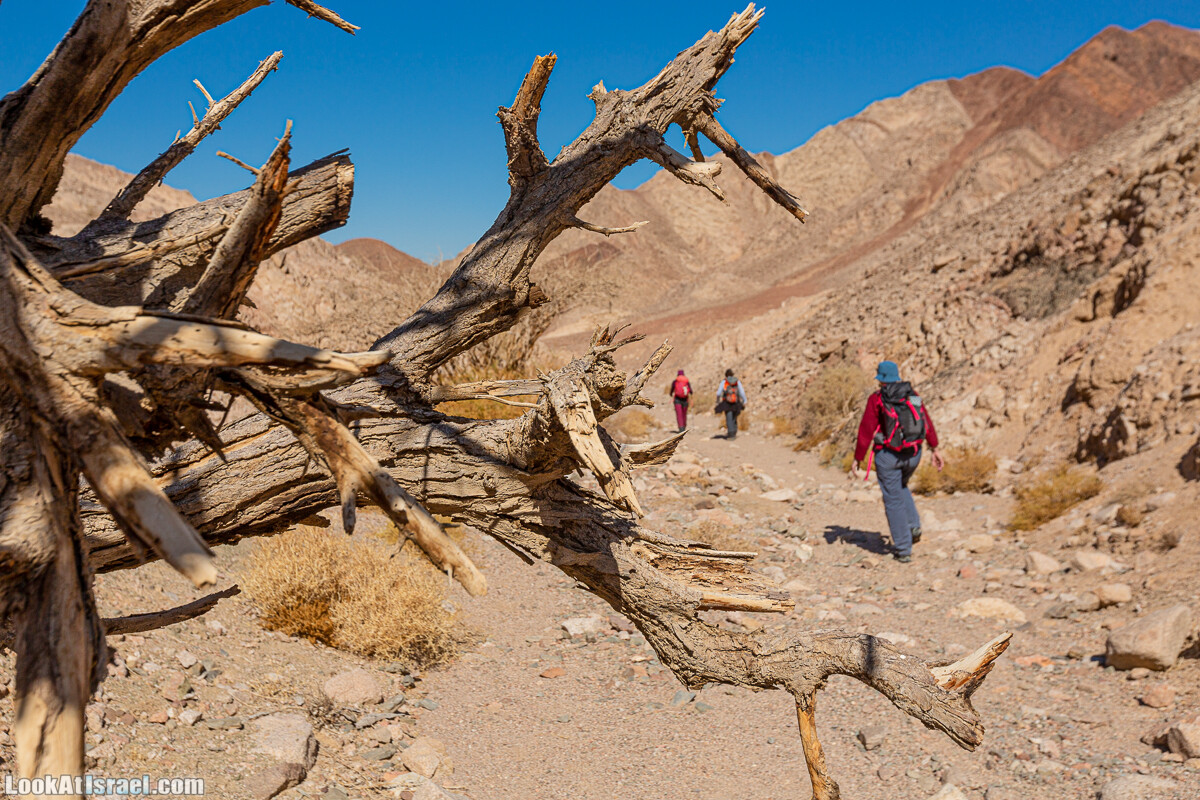 Эйлатские горы, гора Шахамон и лезвие Сакин Йотам | LookAtIsrael.com - Фото путешествия по Израилю