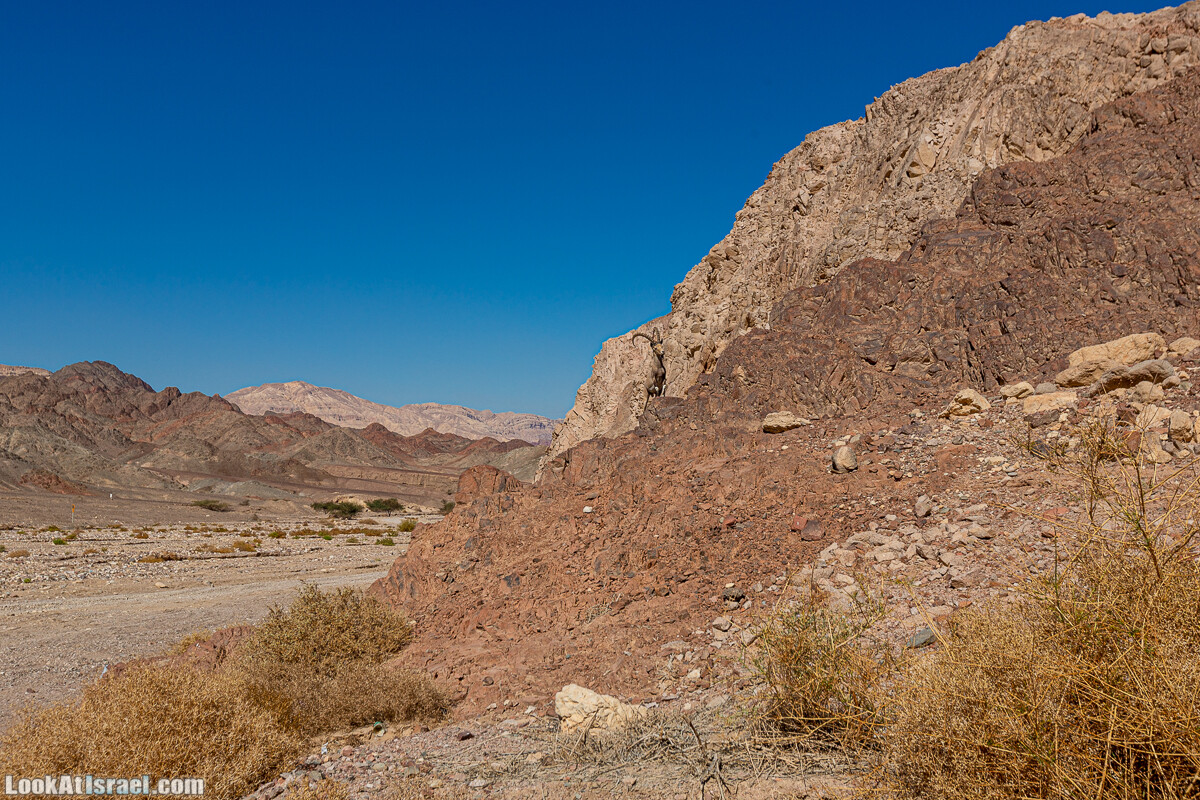 Эйлатские горы, гора Шахамон и лезвие Сакин Йотам | LookAtIsrael.com - Фото путешествия по Израилю