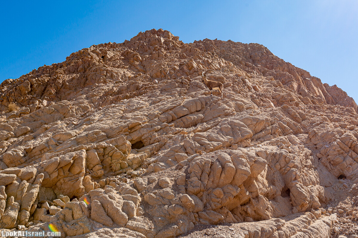 Эйлатские горы, гора Шахамон и лезвие Сакин Йотам | LookAtIsrael.com - Фото путешествия по Израилю