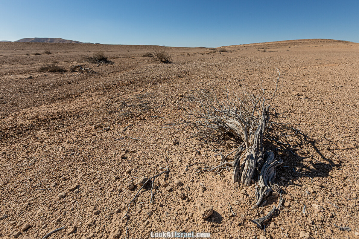 Разломы и трещины ручья Нахаль Этек | סדקים בנחל עתק | LookAtIsrael.com - Фото путешествия по Израилю
