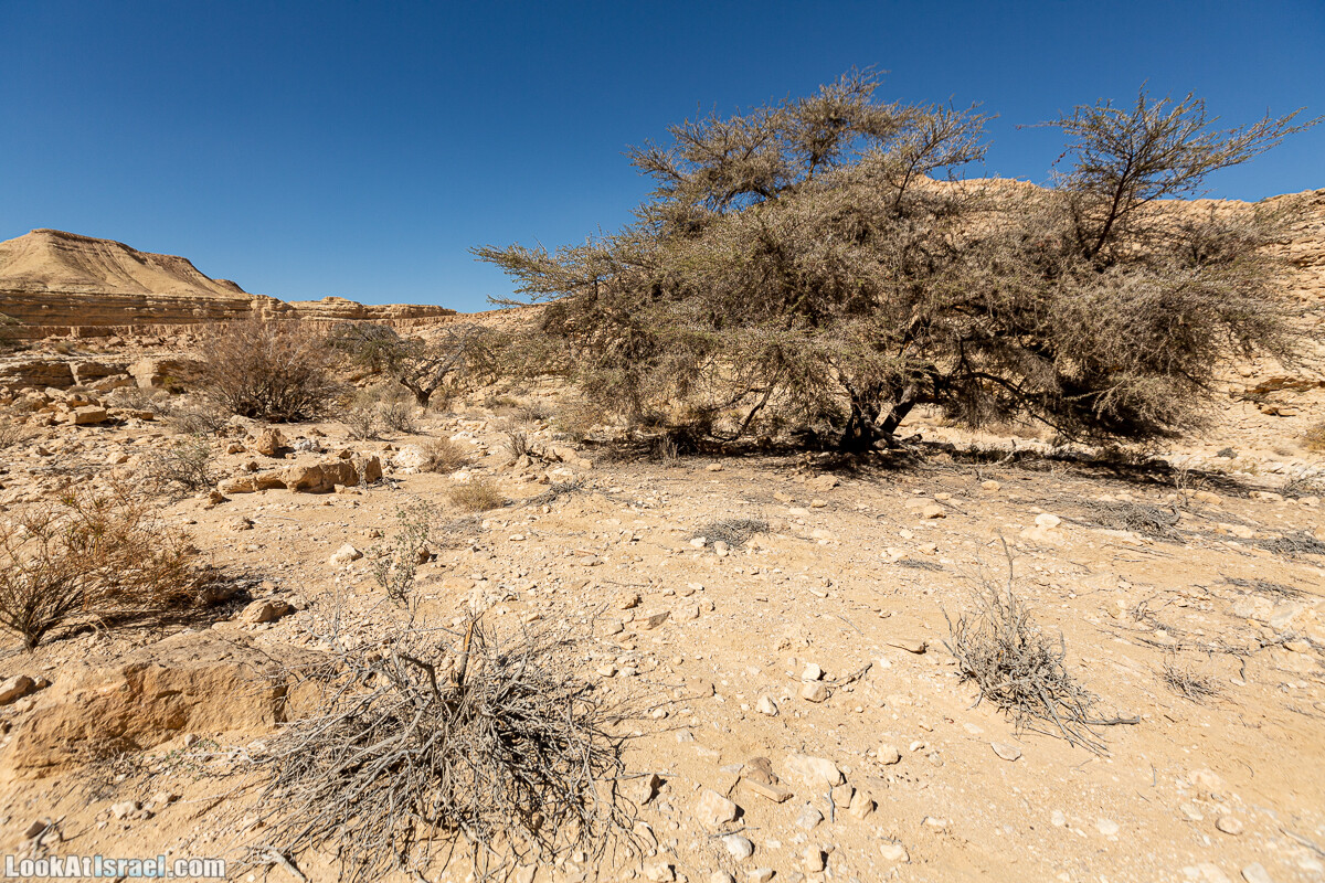 Разломы и трещины ручья Нахаль Этек | סדקים בנחל עתק | LookAtIsrael.com - Фото путешествия по Израилю