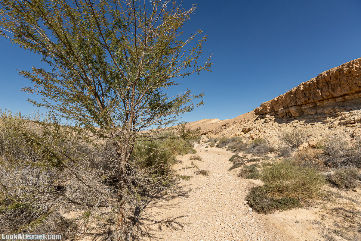 Разломы и трещины ручья Нахаль Этек | סדקים בנחל עתק | LookAtIsrael.com - Фото путешествия по Израилю
