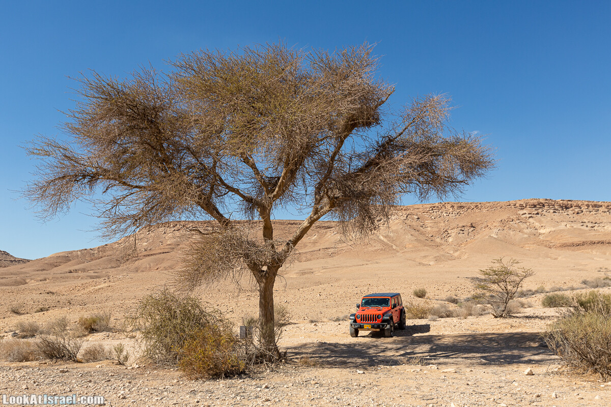 Разломы и трещины ручья Нахаль Этек | סדקים בנחל עתק | LookAtIsrael.com - Фото путешествия по Израилю