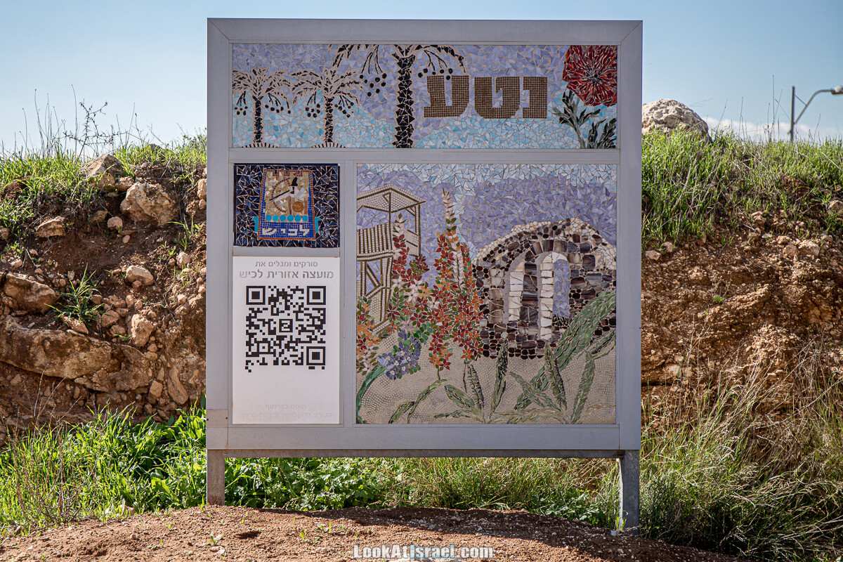 Цветение и археология - Тель Этон, Хирбет Гамар (Гомер), Тель Мирсим | LookAtIsrael.com - Фото путешествия по Израилю