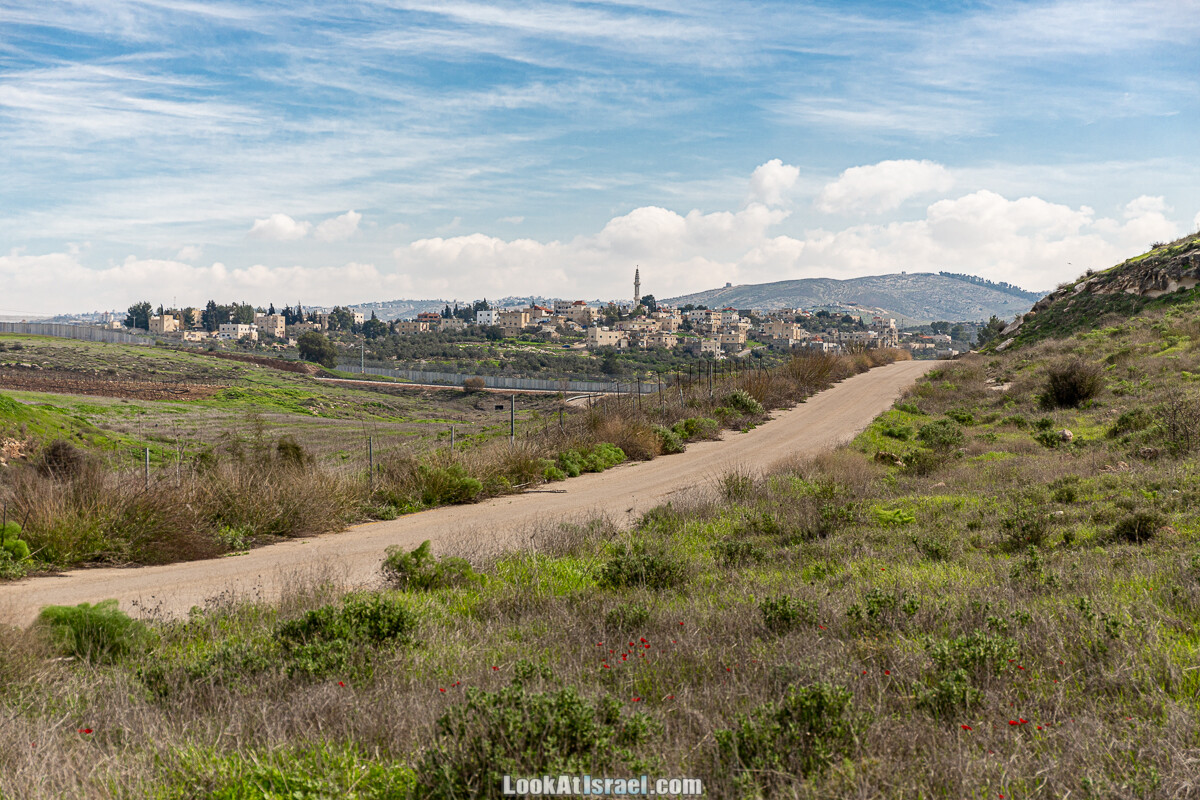 Цветение и археология - Тель Этон, Хирбет Гамар (Гомер), Тель Мирсим | LookAtIsrael.com - Фото путешествия по Израилю