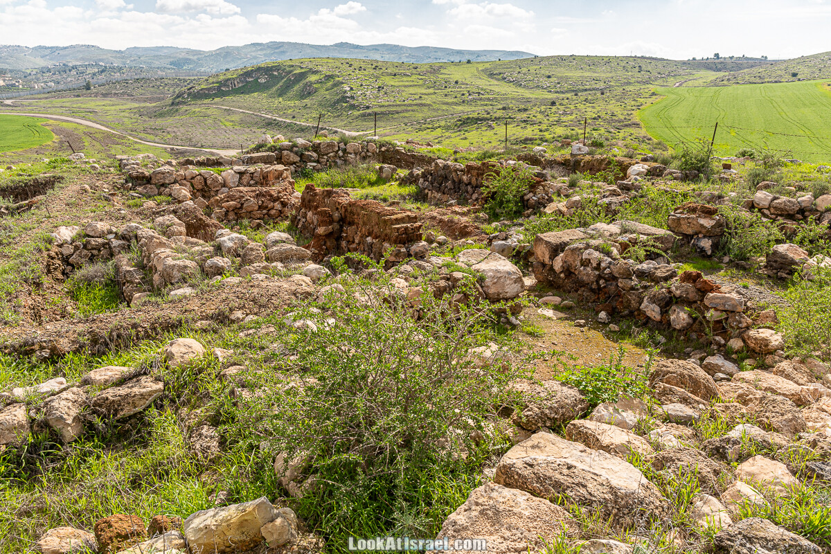 Цветение и археология - Тель Этон, Хирбет Гамар (Гомер), Тель Мирсим | LookAtIsrael.com - Фото путешествия по Израилю