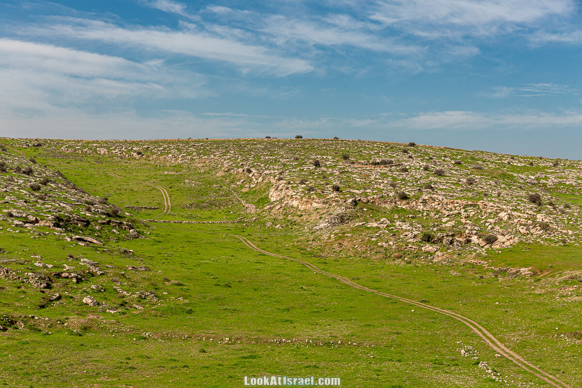 Цветение и археология - Тель Этон, Хирбет Гамар (Гомер), Тель Мирсим | LookAtIsrael.com - Фото путешествия по Израилю