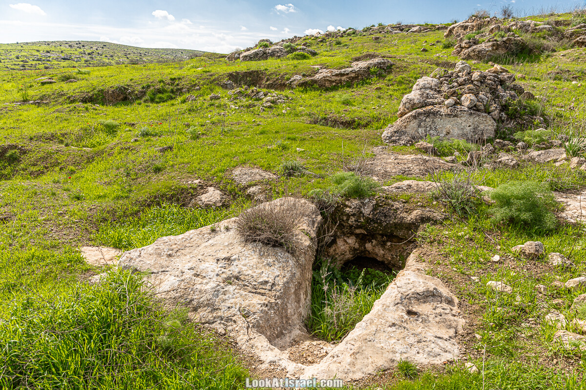 Цветение и археология - Тель Этон, Хирбет Гамар (Гомер), Тель Мирсим | LookAtIsrael.com - Фото путешествия по Израилю