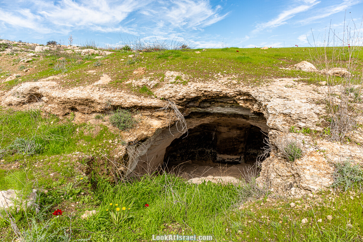 Цветение и археология - Тель Этон, Хирбет Гамар (Гомер), Тель Мирсим | LookAtIsrael.com - Фото путешествия по Израилю