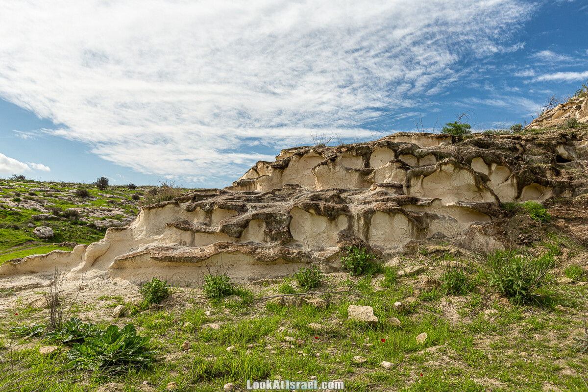 Цветение и археология - Тель Этон, Хирбет Гамар (Гомер), Тель Мирсим | LookAtIsrael.com - Фото путешествия по Израилю